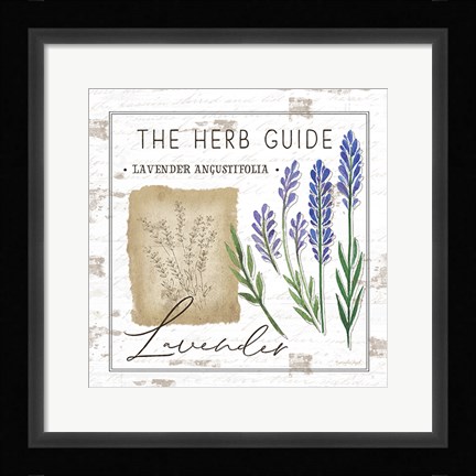 Framed Herb Guide - Lavender Print