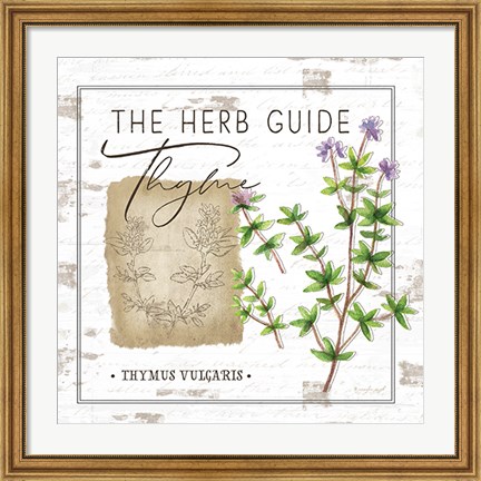 Framed Herb Guide - Thyme Print