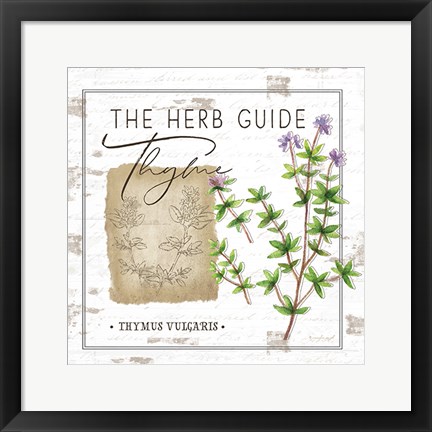 Framed Herb Guide - Thyme Print