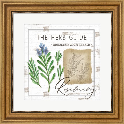 Framed Herb Guide - Rosemary Print