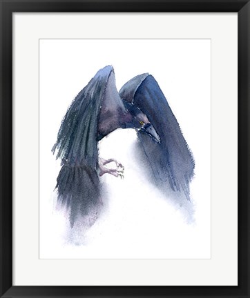 Framed Crow III Print