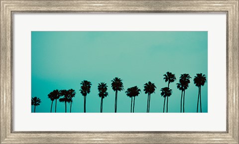 Framed Palms in Color Print