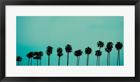 Framed Palms in Color Print
