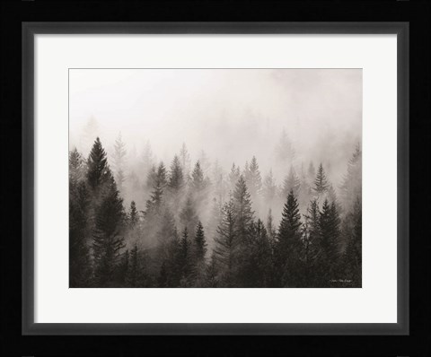 Framed Forest Print