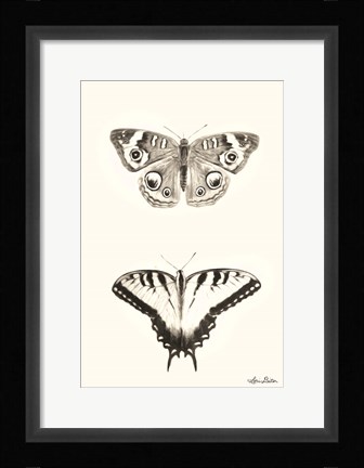 Framed Butterflies Print