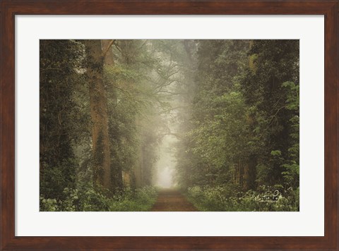 Framed Misty Spring Road Print