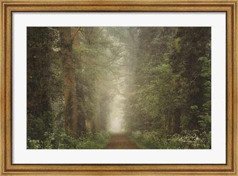 Framed Misty Spring Road Print