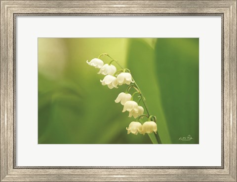 Framed Lily of the Valley Print