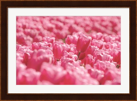 Framed Pink Field Print