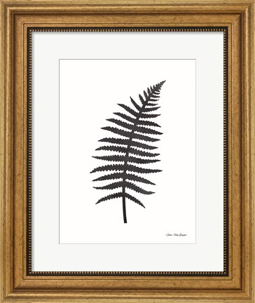 Framed Watercolor Black Plant I Print