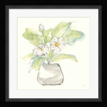 Framed Plant Poppy II Print