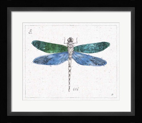 Framed Outdoor Beauties IV Color Print