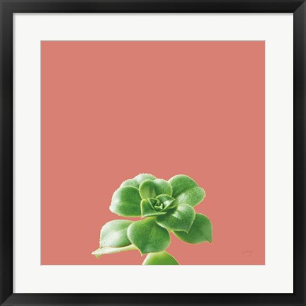 Framed Succulent Simplicity VII Coral Print