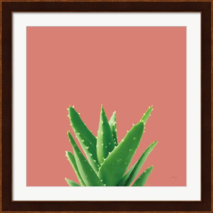 Framed Succulent Simplicity V Coral Print