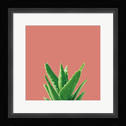 Framed Succulent Simplicity V Coral Print