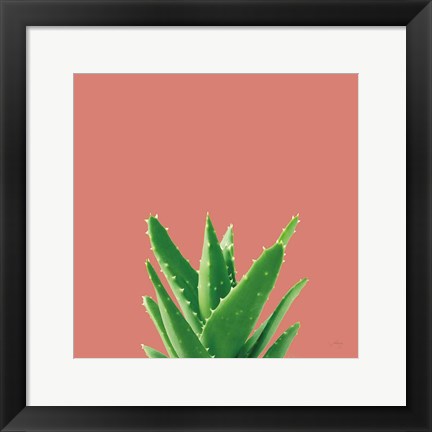 Framed Succulent Simplicity V Coral Print