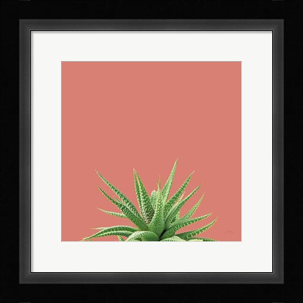 Framed Succulent Simplicity I Coral Print