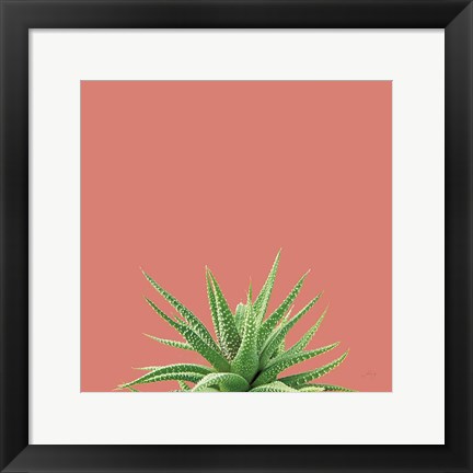 Framed Succulent Simplicity I Coral Print