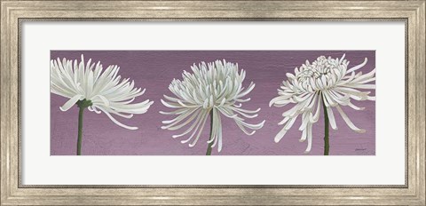 Framed Morning Chrysanthemums V Lavender Print