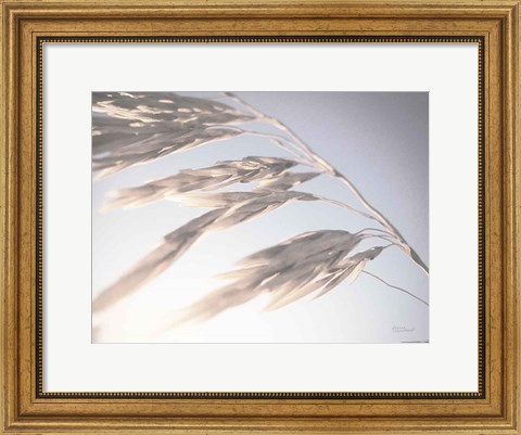 Framed Windy Wheat Fields II Light Print