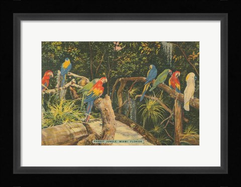 Framed Florida Postcard II Print