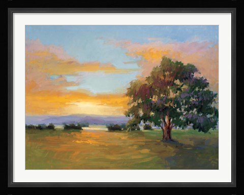 Framed Sunset Salute Print