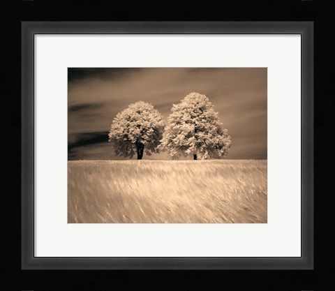 Framed Together and Alone I Print