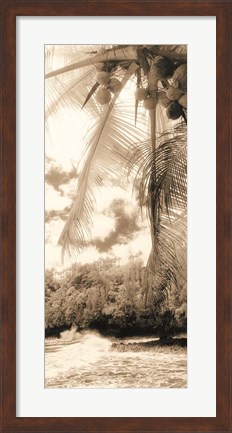 Framed Equatorial Breeze II Print