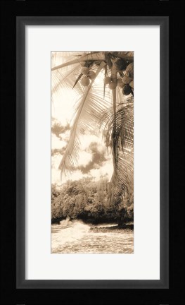 Framed Equatorial Breeze II Print