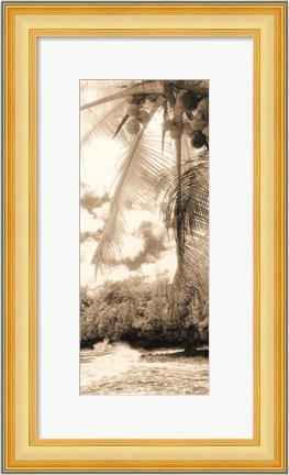 Framed Equatorial Breeze II Print