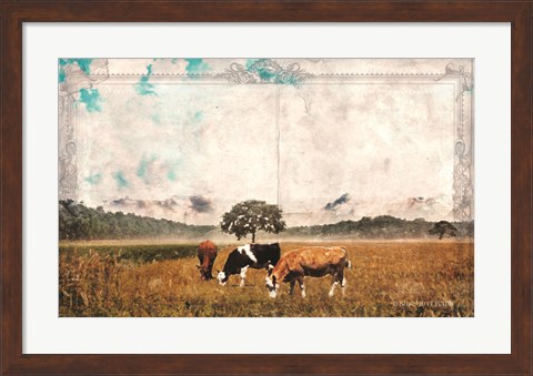 Framed Vintage Grazing Cattle Print