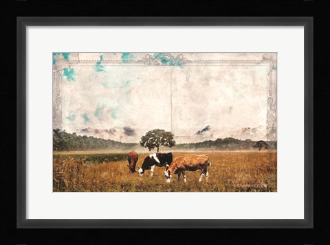 Framed Vintage Grazing Cattle Print
