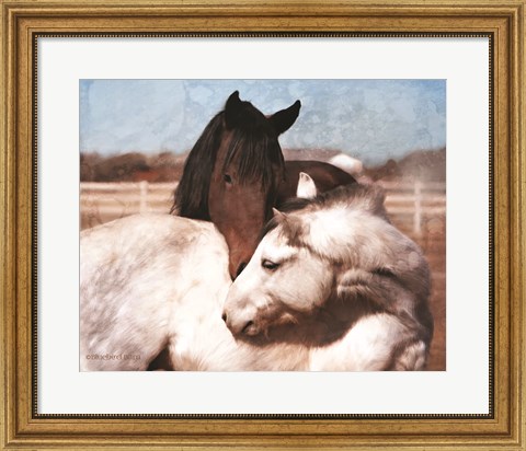 Framed White and Chestnut Horses Print