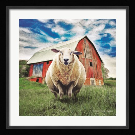 Framed Sunday Afternoon Sheep Pose Print