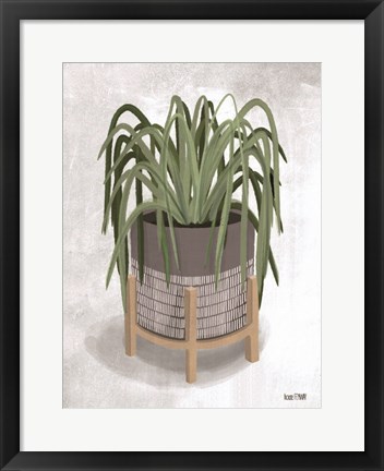 Framed Spider Plant Print
