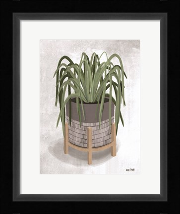 Framed Spider Plant Print