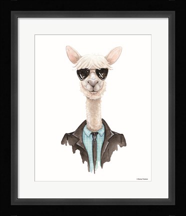 Framed Alpaca in Aviators Print