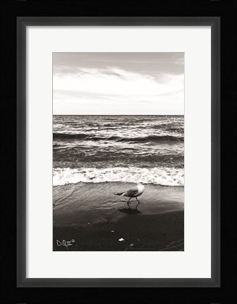 Framed Seagull I Print