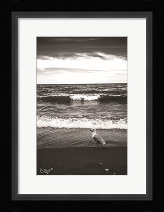Framed Seagull II Print