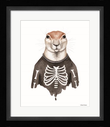 Framed Xerus in an Xray Shirt Print