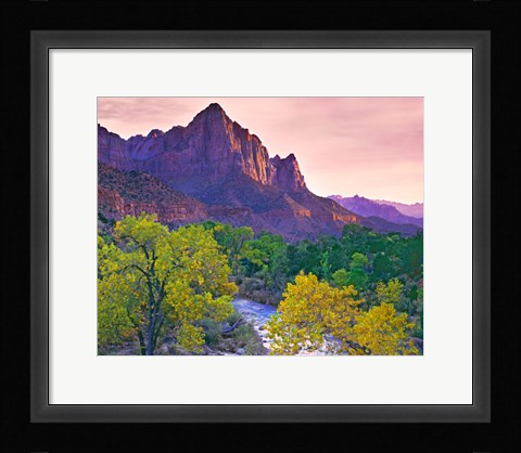 Framed Utah, Zion National Park The Watchman Formation And The Virgin River In Autumn Print