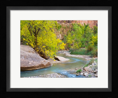 Framed Utah Zion National Park, Virgin River Print