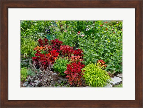 Framed Summer Flowers And Coleus Plants In Bronze And Reds, Sammamish, Washington State Print