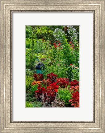 Framed Garden Summer Flowers And Coleus Plants In Bronze And Reds, Sammamish, Washington State Print