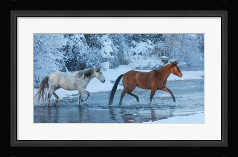 Framed Horses Crossing Shell Creek In Winter, Wyoming Print