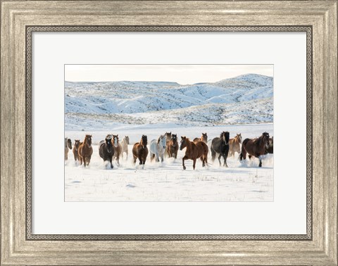 Framed Herd Of Horses Running In Snow Print