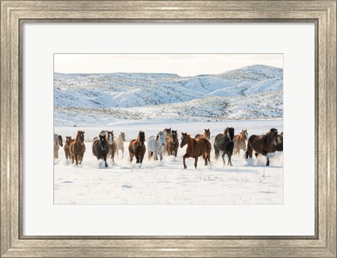 Framed Herd Of Horses Running In Snow Print