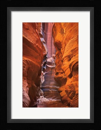 Framed Buckskin Gulch IV Print