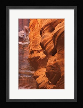 Framed Buckskin Gulch III Print