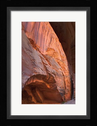 Framed Buckskin Gulch II Print